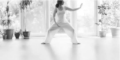 Cours_particulier_de_Yang_Sheng_Qi_Gong_a_Montpellier-et_a_distance_Sylvie_Friedlander