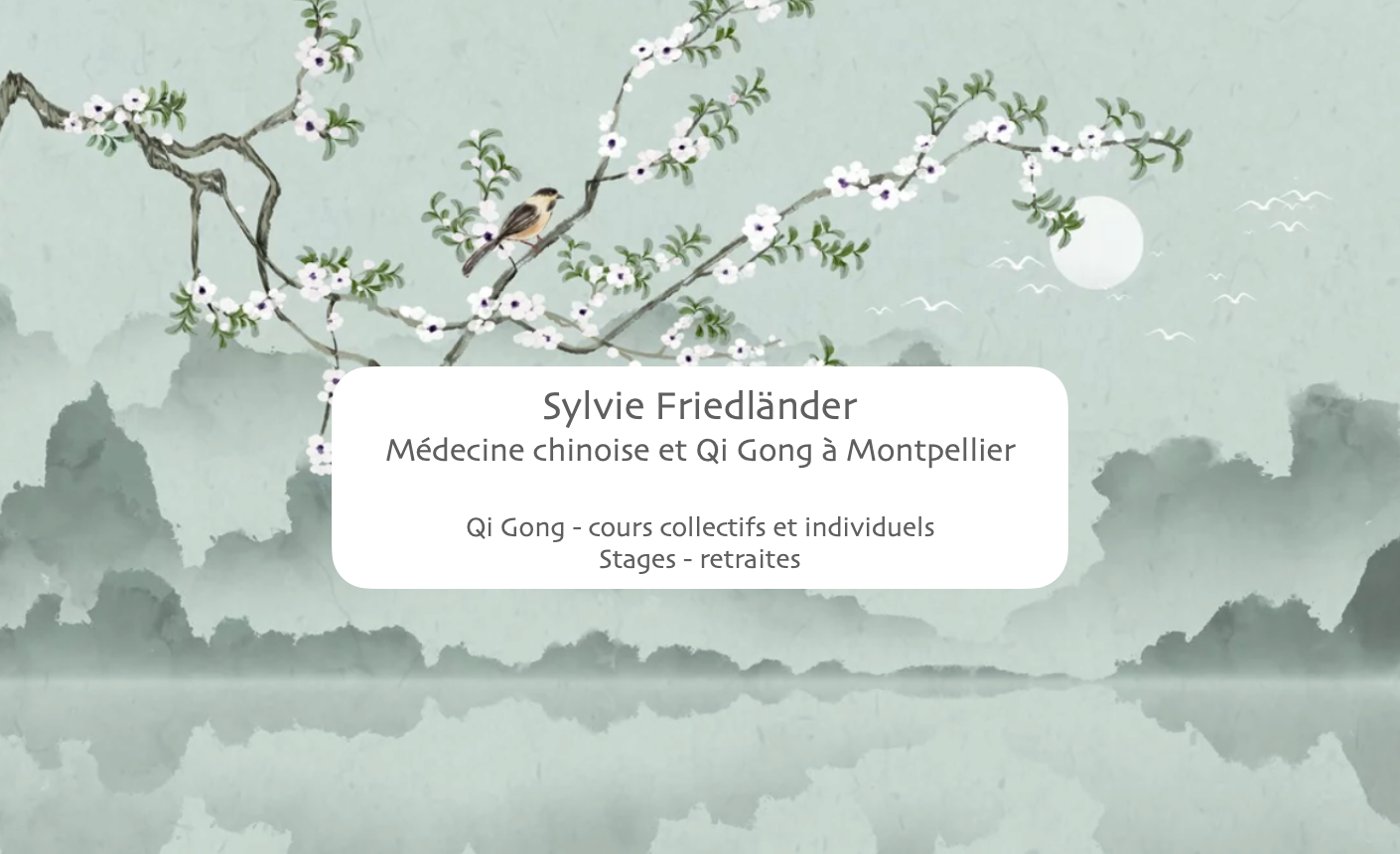 Medecine-chinoise-Qi-Gong-a-Montpellier-Sylvie-Friedlander