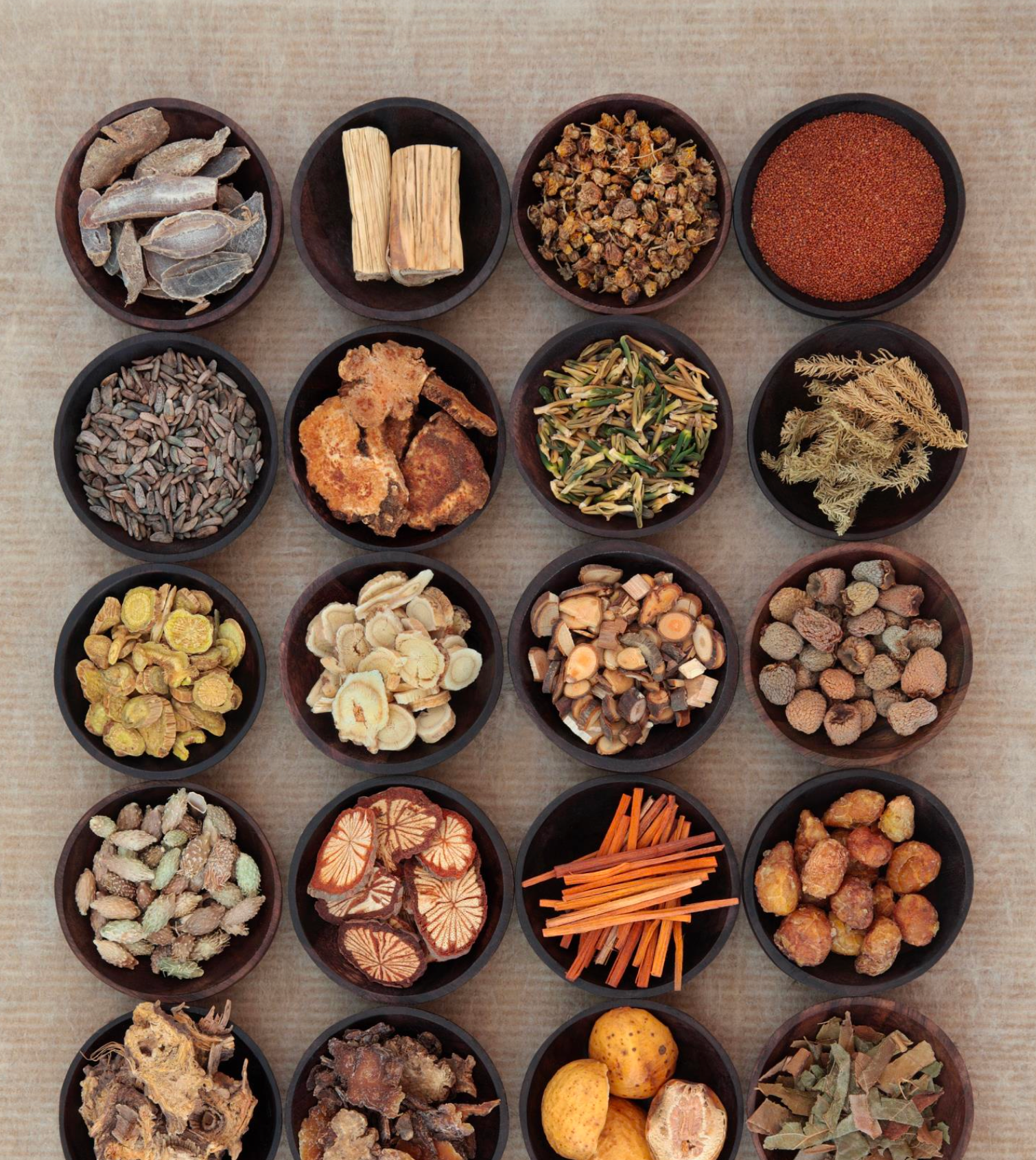 Medecine-chinoise-a-Montpellier-Sylvie-Friedlander