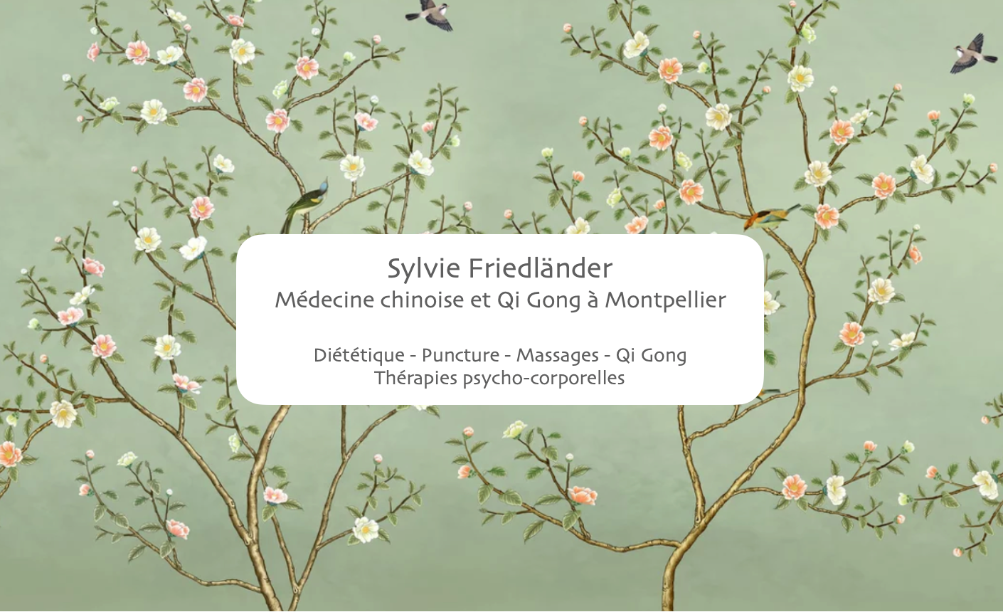 médecine-traditionnelle-chinoise-Montpellier-Sylvie-Friedlander